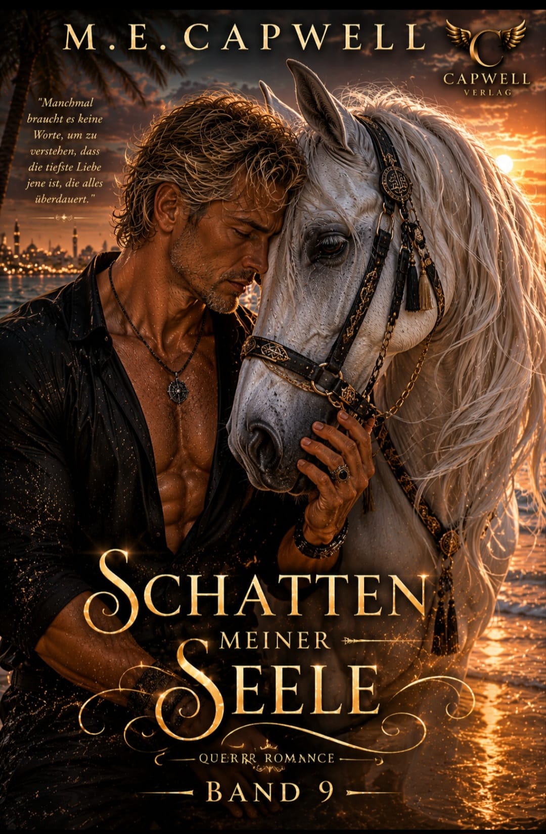 Schatten meiner Seele Band 09