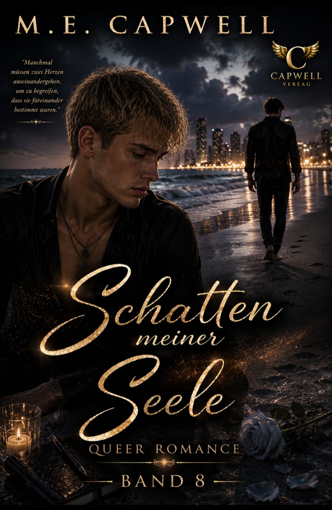 Schatten meiner Seele Band 08