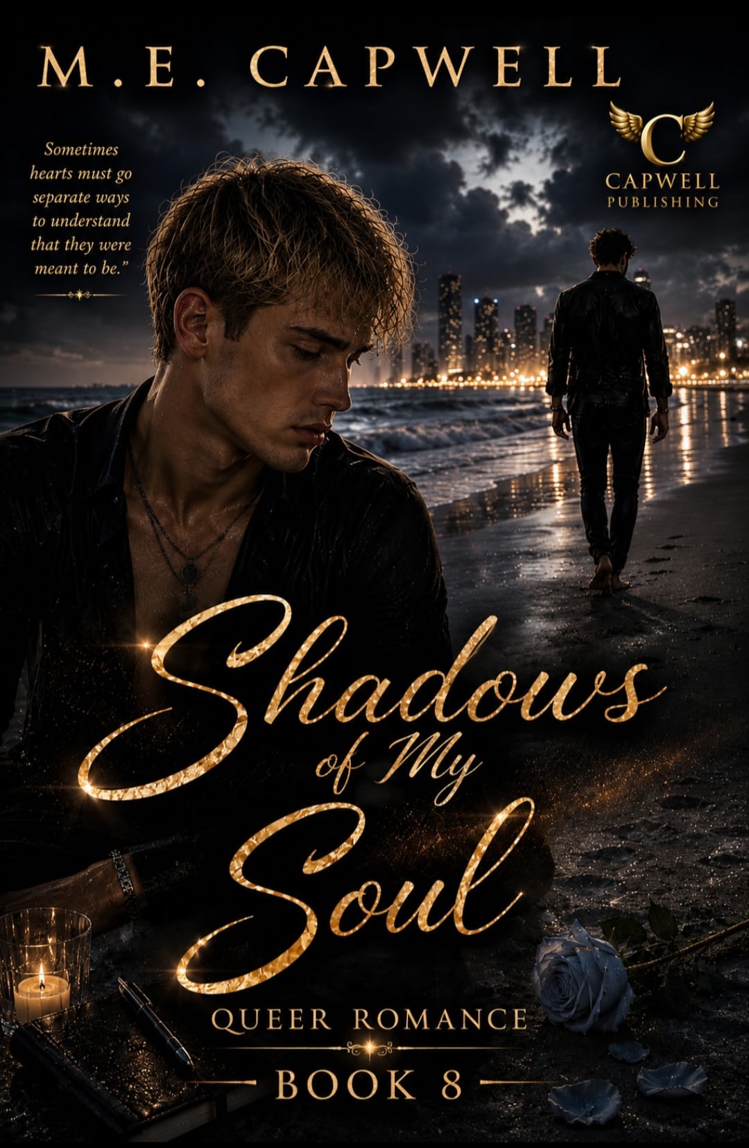 Shadow of my Soul Book 08