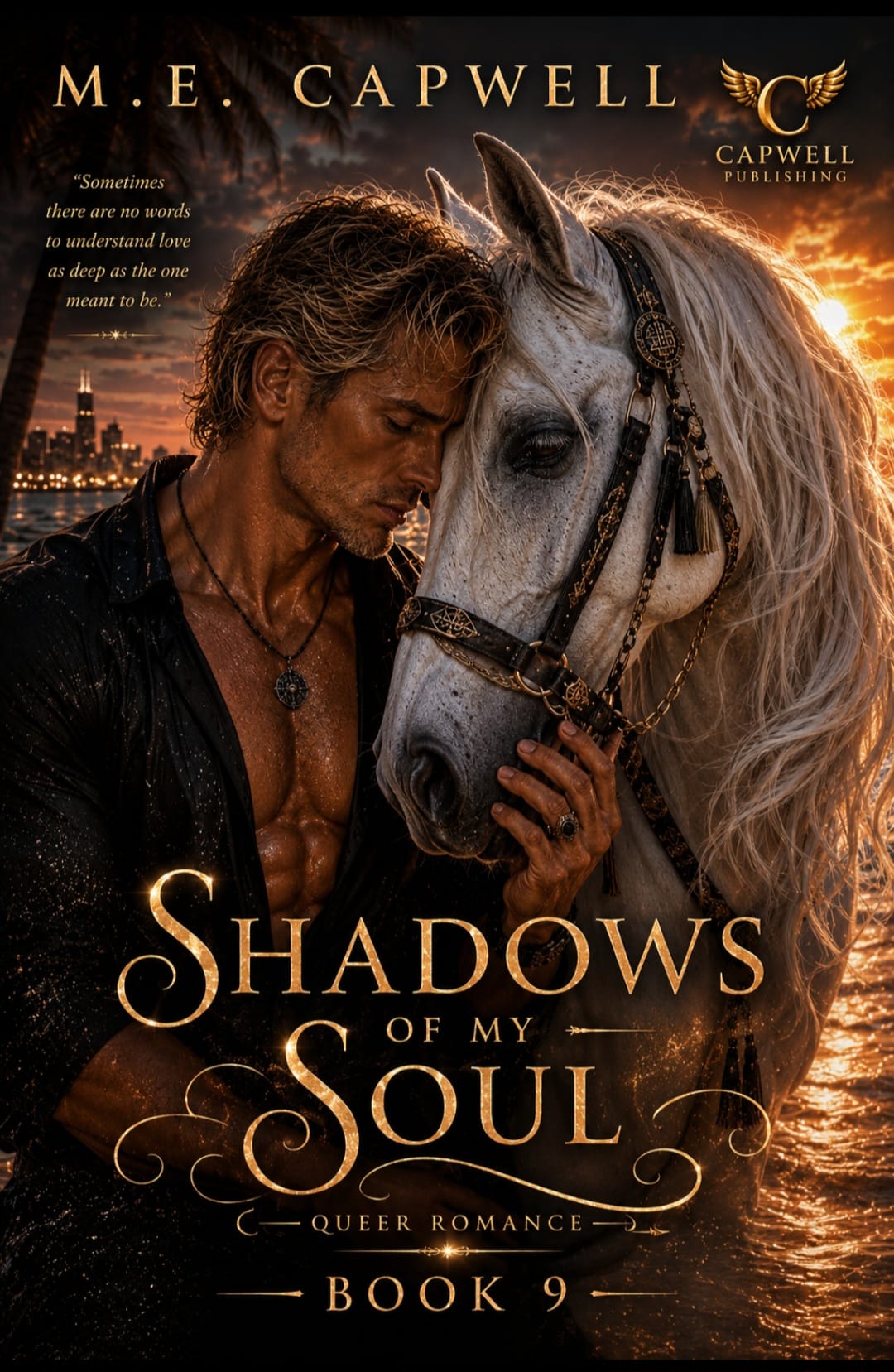 Shadow of my Soul Book 09